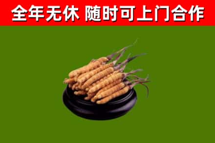 婺城区烟酒回收冬虫夏草.jpg
